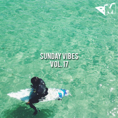 Sunday Vibes Vol. 17 (Daps & Pounds Part. 2)