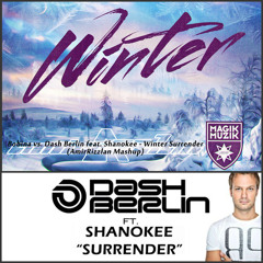Bobina vs. Dash Berlin feat. Shanokee - Winter Surrender (AmirRizzlan Mashup)