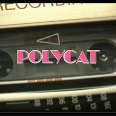 องศาที่ต่างกัน - Polycat