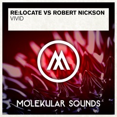 Re:Locate Vs. Robert Nickson - Vivid (Original Mix)
