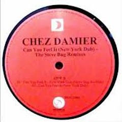 Chez Damier - Can you feel it (Steve BugRedub)