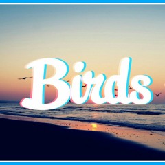 MR Probs Birds Fly song edit .mp3