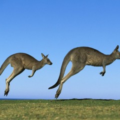 [Preview] Cowty - Jumpi (Original Mix)