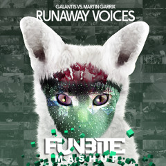 Galantis vs. Martin Garrix - Runaway Voices (Funbite Mashup) [CUT]