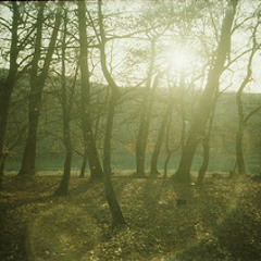 Romanian Shellac & Colonial Drums - Live At Plateforme