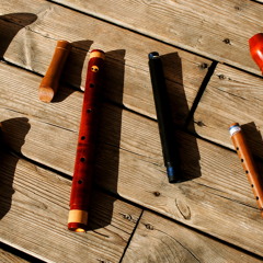 A. Vivaldi C-Major Concerto (RV443),  Dodó Kis-recorder