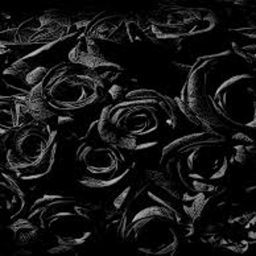 Daddy's Black Roses - Twistid Rob Ft. Felicity