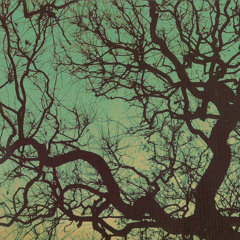 Föllakzoid - Directo Al Sol