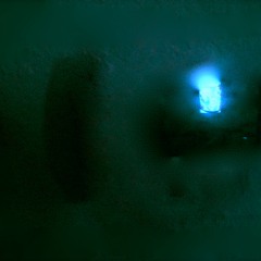 Every Body Passes Gas