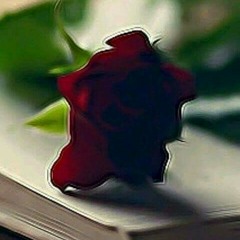 امام النحل في امام النحل