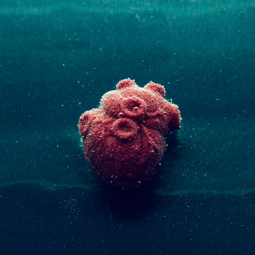 Sound of Ceres - Bryn Marina (Mtn Observatory Remix)