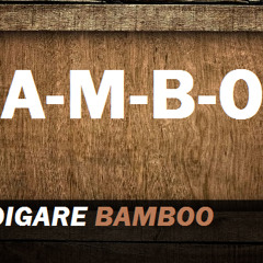 Vince Digare - Bamboo (Original Mix)