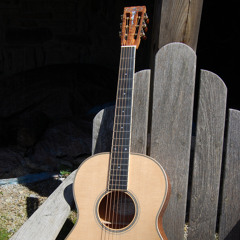 Mr. Bojangles (cover)