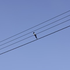 Solitude