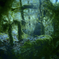Imagery