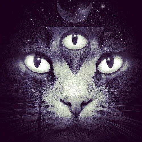 I can also play (mix)