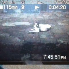 The Ashtrays - I Don't Know How To Answer