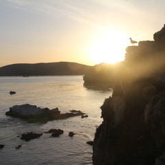 Study Music | No Lyrics