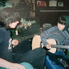 The Trapeze Swinger (by Iron and Wine)