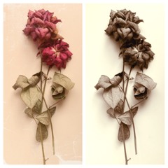 Esra Erkan - Tainted Love(Cover)