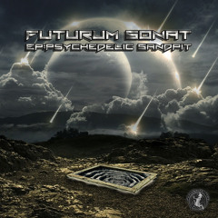 FUTURUM SONAT - Drunk'N'Roll