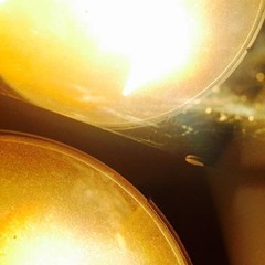 touch and slowly drift like bodies in orbit