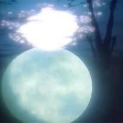 love u 2 the moon (& back)