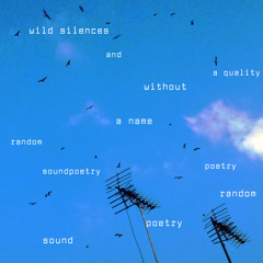wildsilences - random soundpoetry [aqwan production]