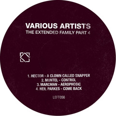 Hector - A Clown Called Snapper