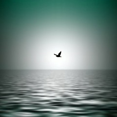Ruslan Stiff - Flying Over Water(Original Mix)