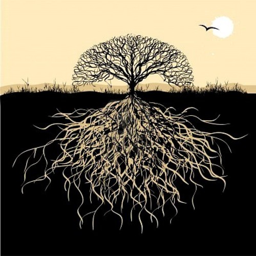 On Roots Xtc