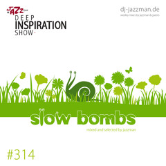 Deep Inspiration Show 314 "SLOW BOMBS"