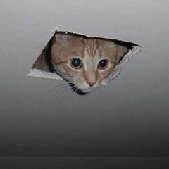 Ceiling Cat is Watching! - Remix of A Hole in the Ceiling by Brewmiesterbean