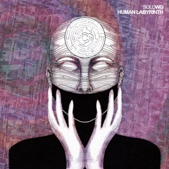 OUT NOW - SOLOWG - HUMAN LABYRINTH [LP] [15.05.2015]