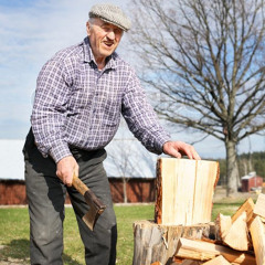 Дід Йосип рубає дрова (Зелений шум Полісся)