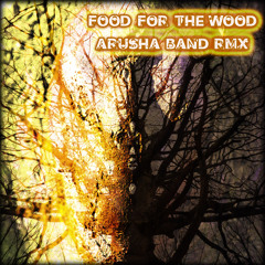 Shiva Om - Food For The Wood (Arusha It´s Time Rmx) Demo