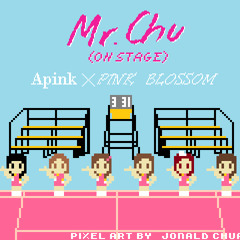 [8BIT] APink (에이핑크) - Mr. Chu (OnStage)