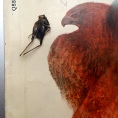 Two Short Passages From Demian, by Hermann Hesse