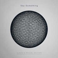 DJOKO & Pascal Wagner - Say Something (Original Mix) ISOLATED
