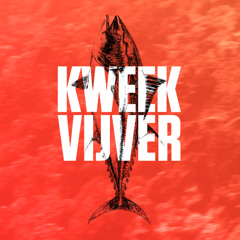 Kweekvis – Janick Megroot – Heinkenszand - Kweekvijver 2015