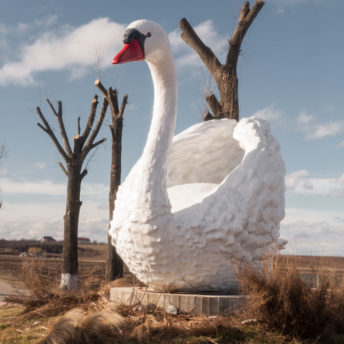 MIR ( rehearsal version )