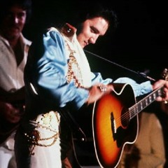 Elvis Presley - You Gave Me A Mountain  (Live in Dallas 12/28/1976)