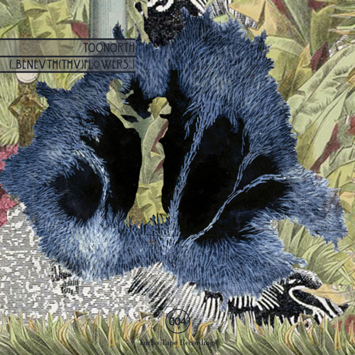 Toonorth - (..benevth(thv)flowers..)