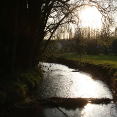 Hang-drum an der ILM  (MUPED Hang Over Remix)
