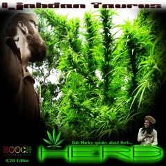HERB - Ijahdan Taurus & Hooch + "Bob Marley speaks about Herb" =  4/20 RaggaJungle