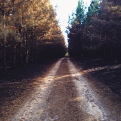 "Trust Me"-clip of original song