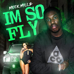 Im So Fly- Meek Mill (Flamerz)