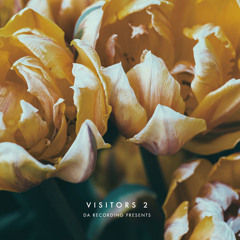 [2015 Spring / Visitors 2] Maze in Haze