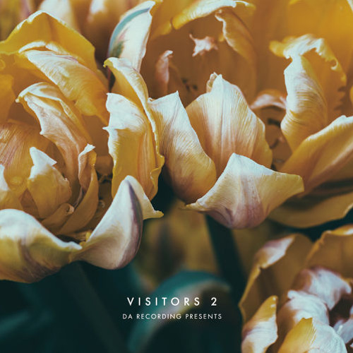 [2015 Spring / Visitors 2] Maze in Haze