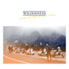 Wilderness - Tomorrow Will Be Different (FROM NEW EP)